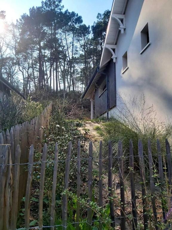 Ville Les Flots Bleus Proche Golf Arcachon 拉特斯特德布赫 外观 照片