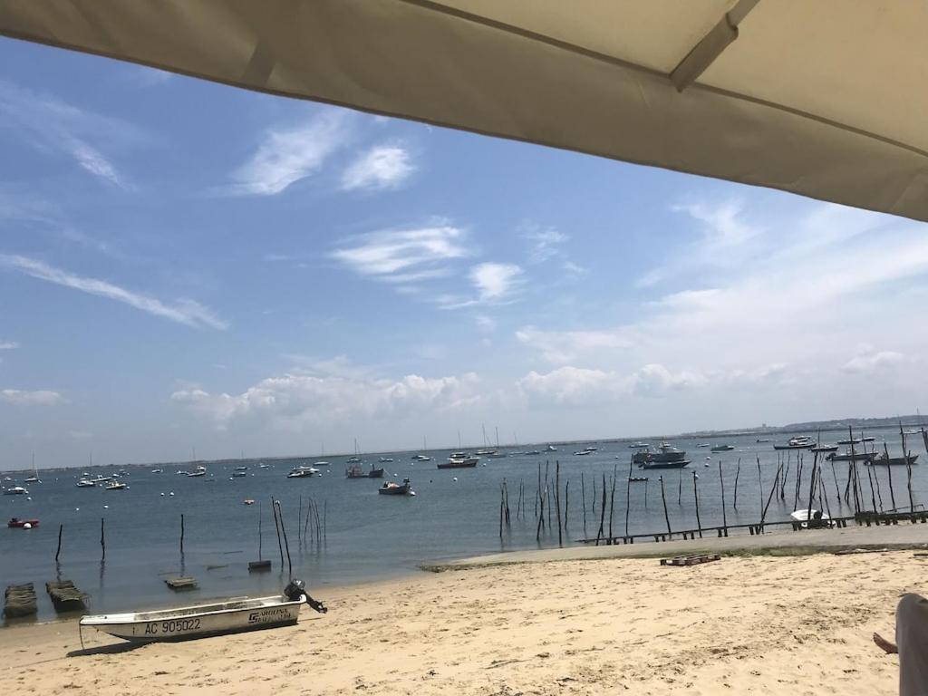 Ville Les Flots Bleus Proche Golf Arcachon 拉特斯特德布赫 外观 照片